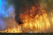 Northwest Crown Fire Experiment