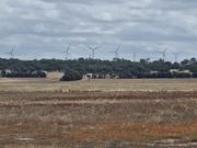 Collector Wind Farm | Verified Journalism Press Collector Wind Farm in New South Wales, a renewable energy source relevant to business and economic reporting.