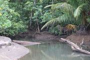 Landscape of Nuquí, Chocó, Colombia - 22 Oct 2025 - Diferoch - 9